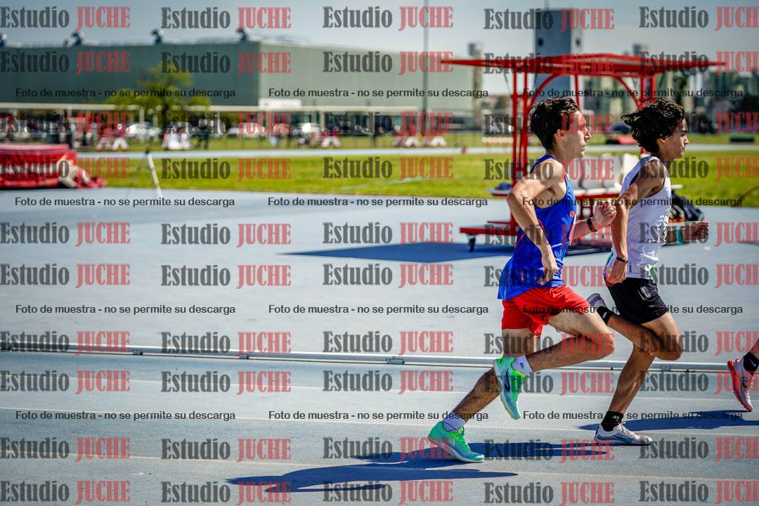 Fotos de los 800 m llanos de varones