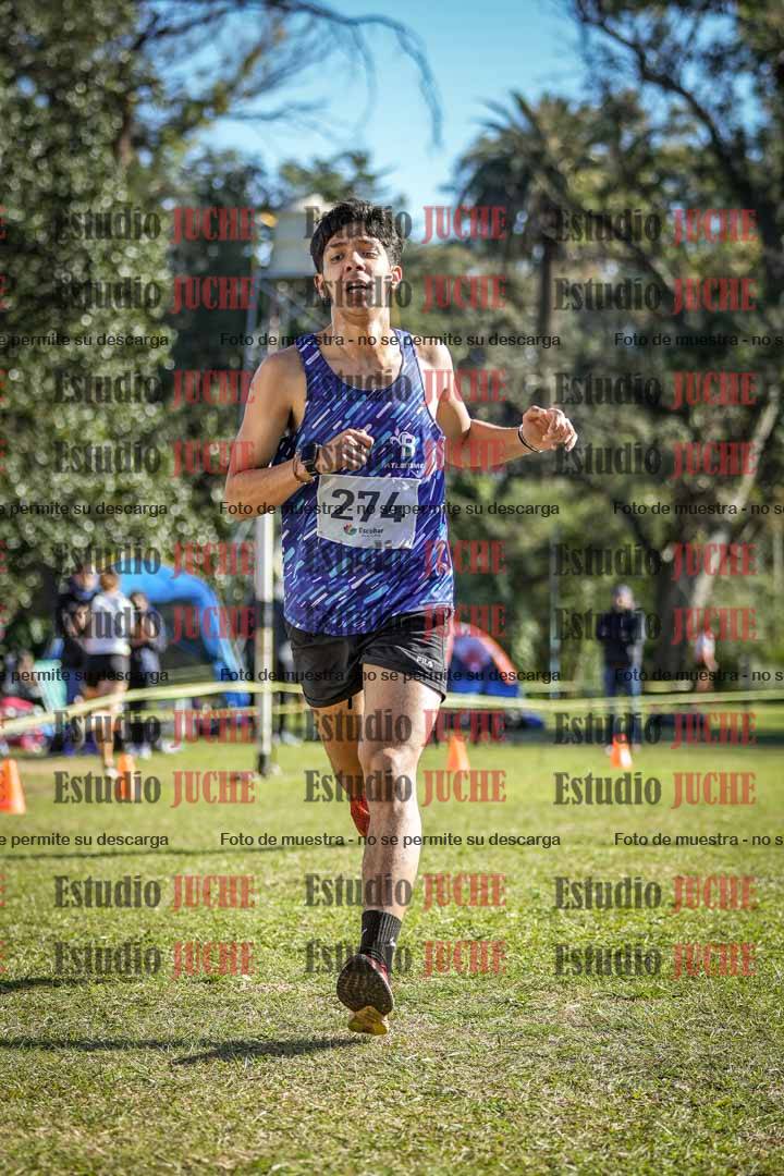 Fotos de la llegada del cross de 6000 m
