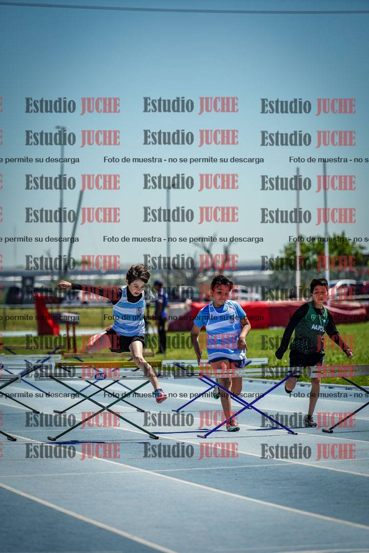 Fotos de los 60 m con vallas de varones
