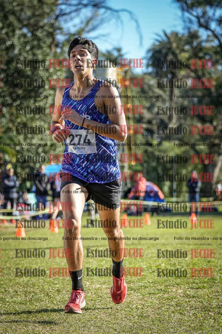 Fotos de la llegada del cross de 6000 m