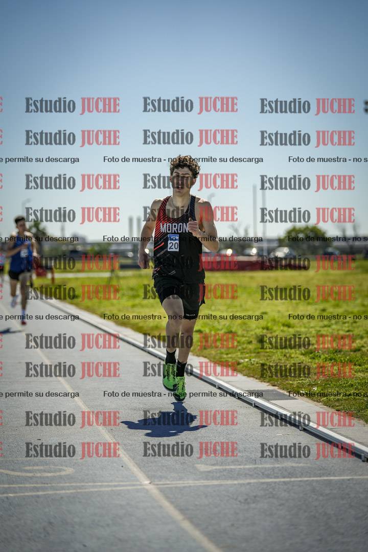 Fotos de los 800 m llanos de varones
