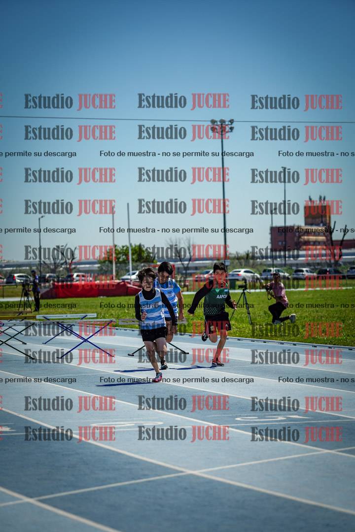 Fotos de los 60 m con vallas de varones