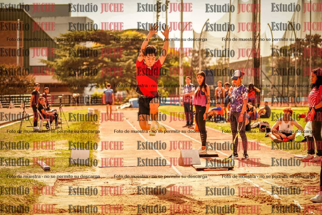 Fotos del salto en largo de varones