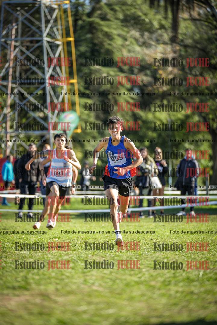 Fotos de la llegada del cross de 3000 m