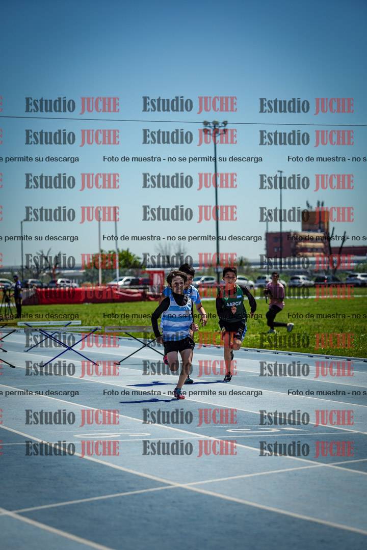 Fotos de los 60 m con vallas de varones