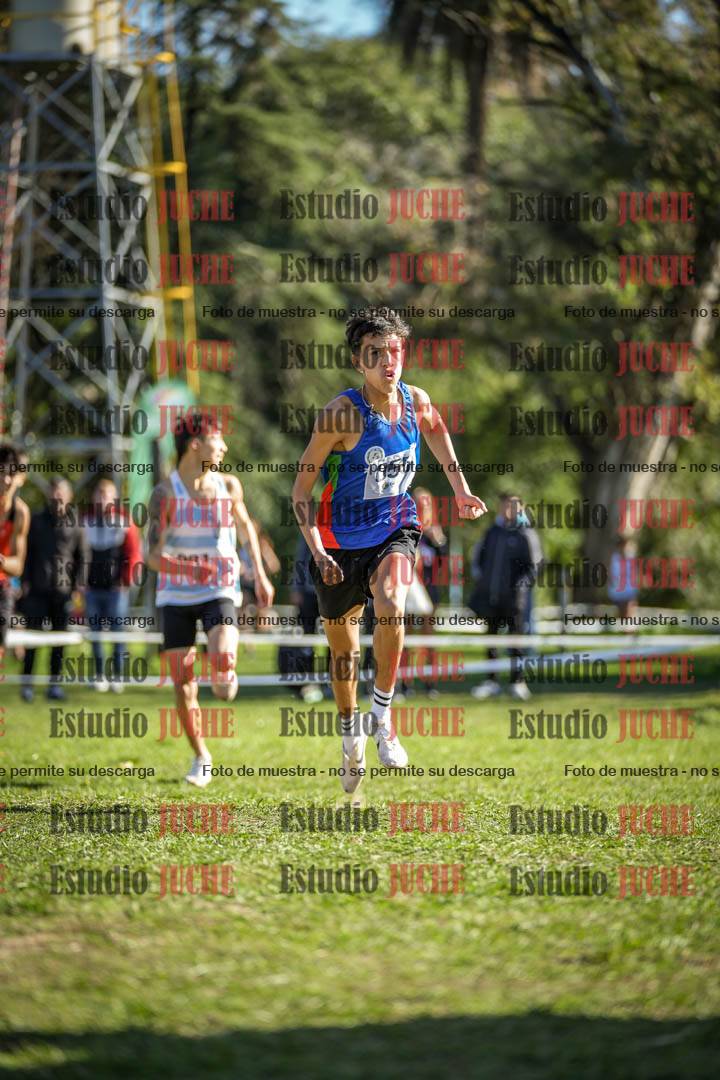 Fotos de la llegada del cross de 3000 m