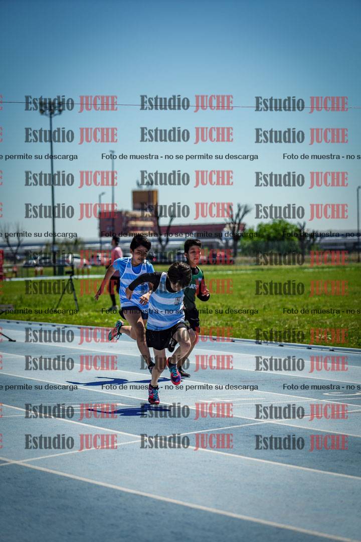 Fotos de los 60 m con vallas de varones