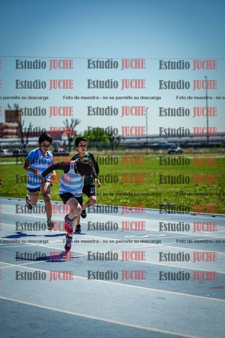 Fotos de los 60 m con vallas de varones