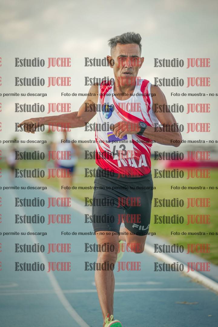 Fotos de los 800 m llanos de varones