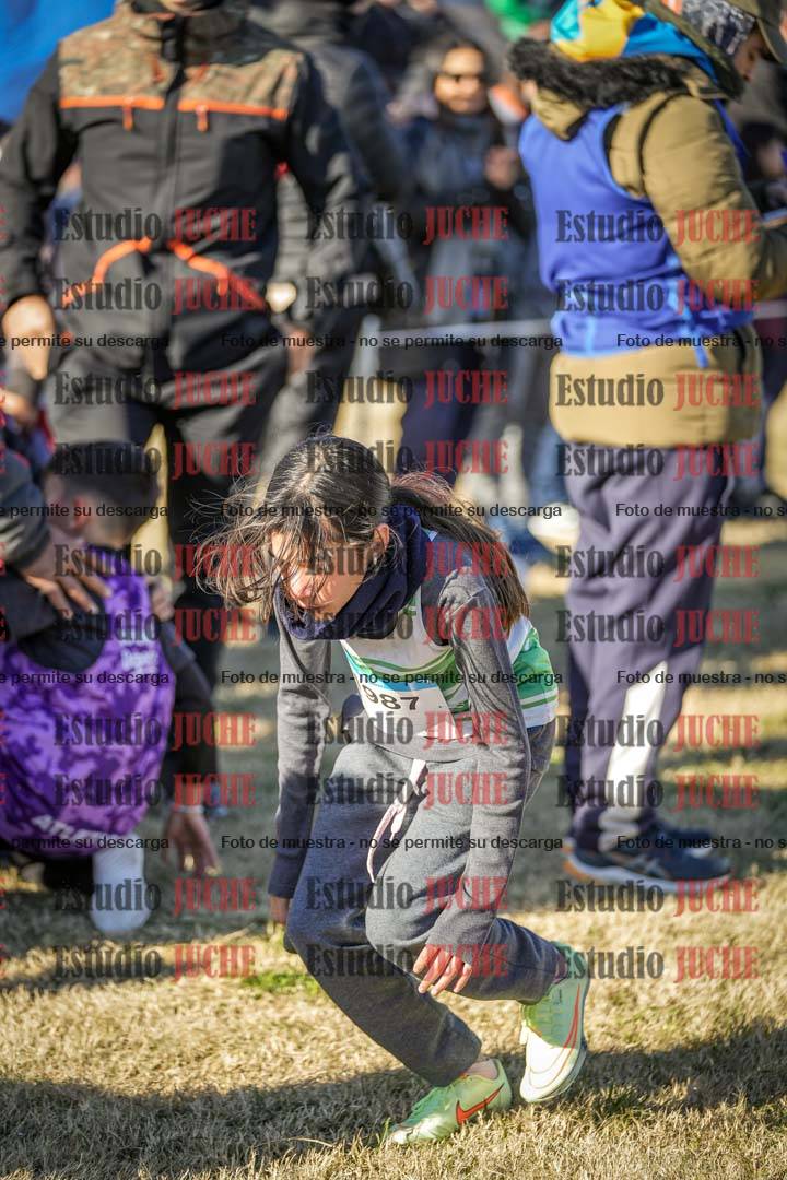 Fotos de las llegadas