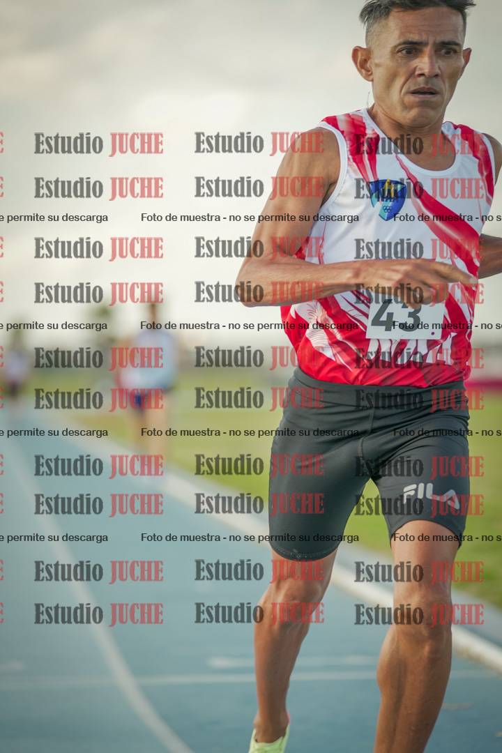 Fotos de los 800 m llanos de varones