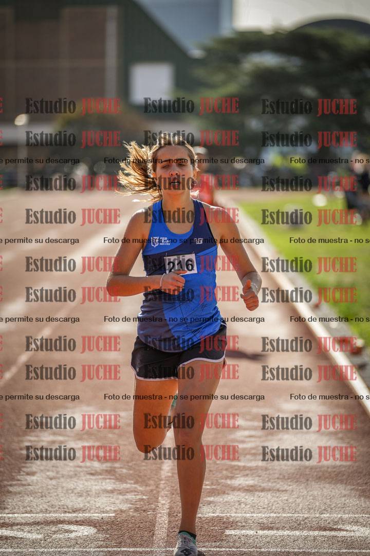 Fotos de los 800 m llanos de mujeres