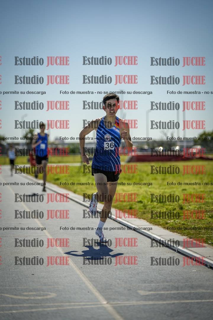 Fotos de los 800 m llanos de varones