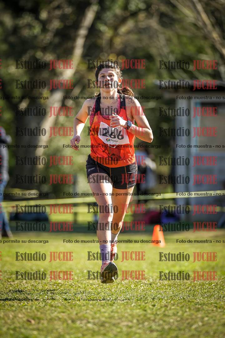 Fotos de la llegada del cross de 6000 m