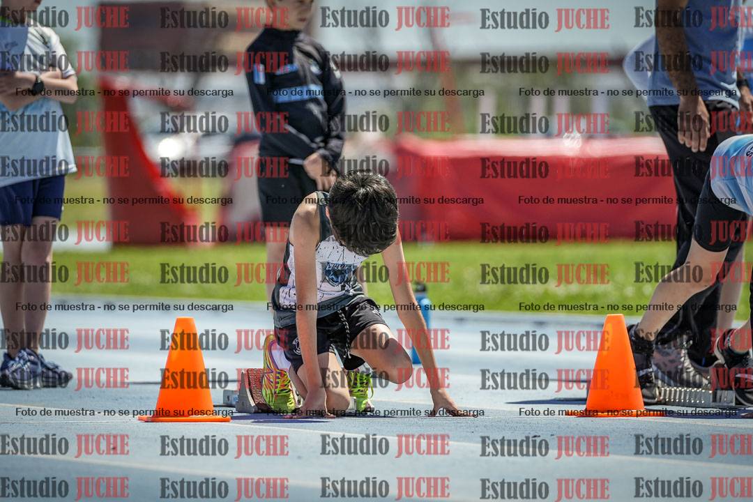 Fotos de los 60 m con vallas de varones