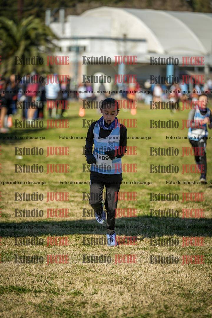 Fotos de las llegadas