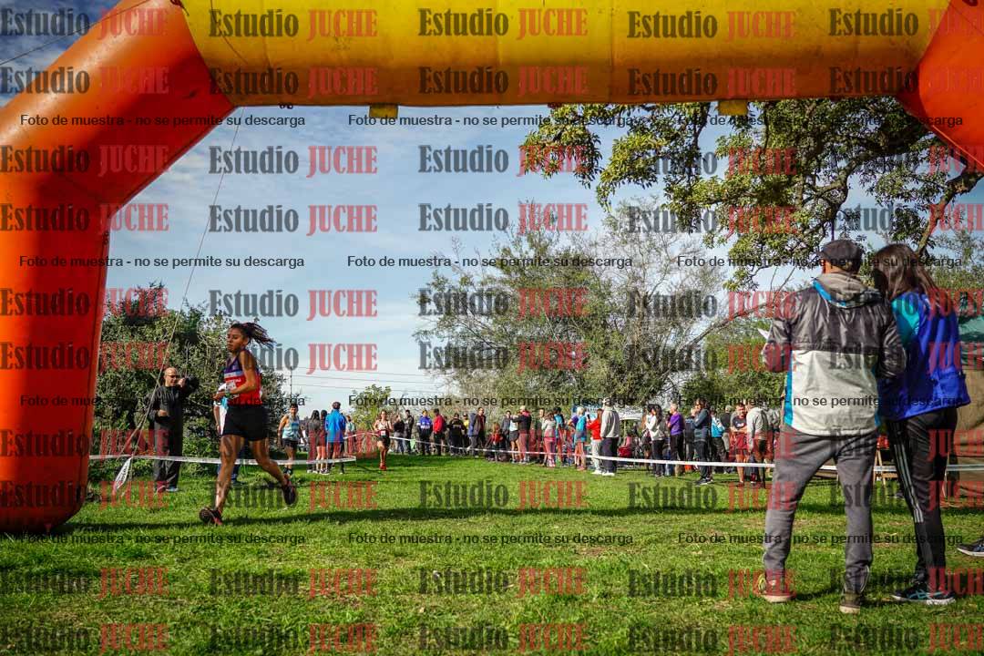 Fotos de la llegada del cross de 6000 m