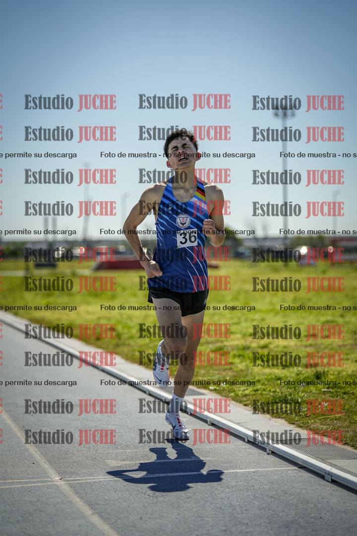 Fotos de los 800 m llanos de varones