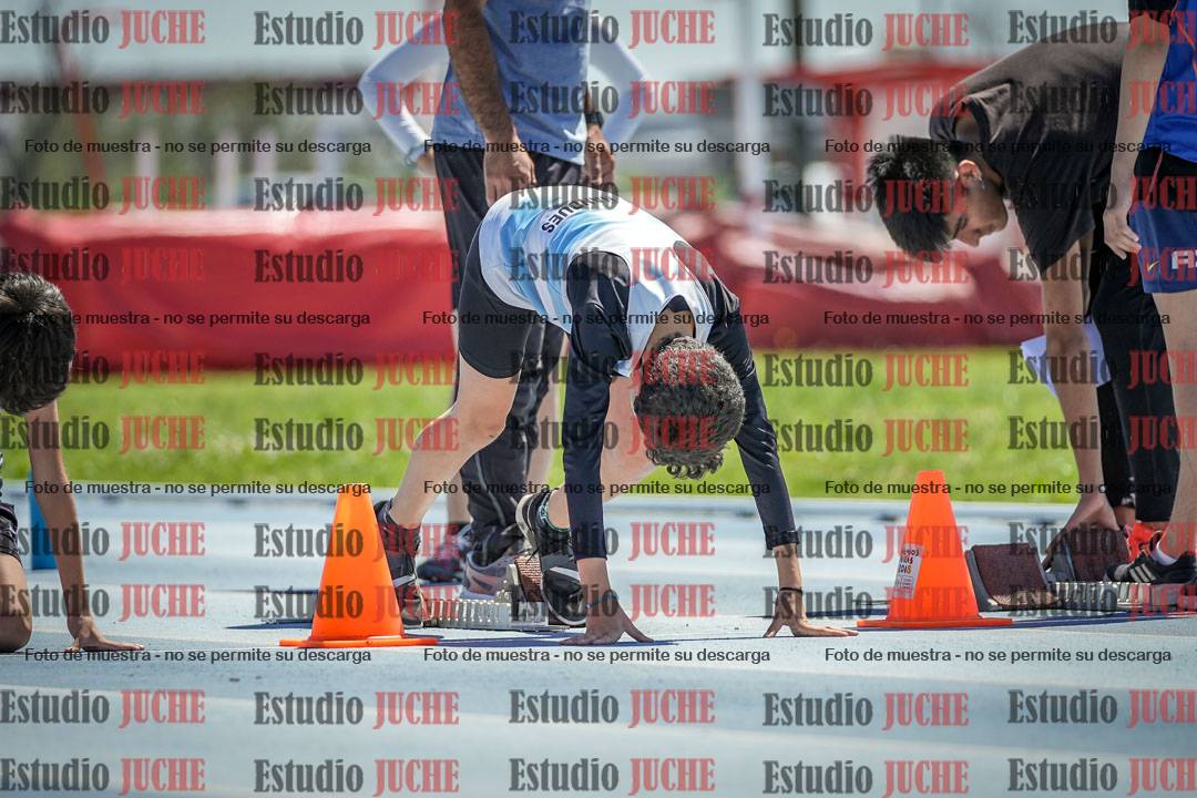Fotos de los 60 m con vallas de varones