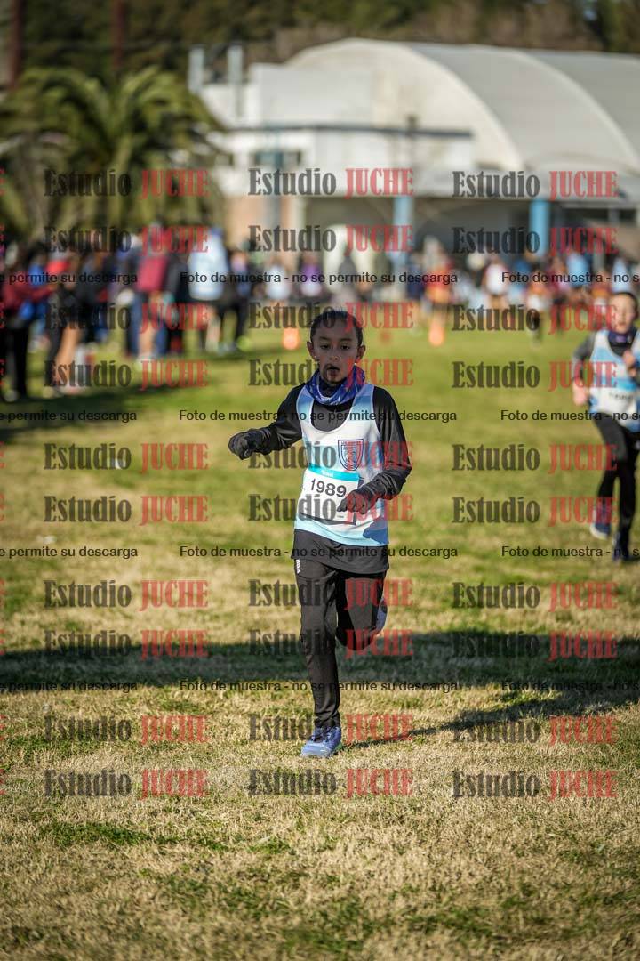 Fotos de las llegadas