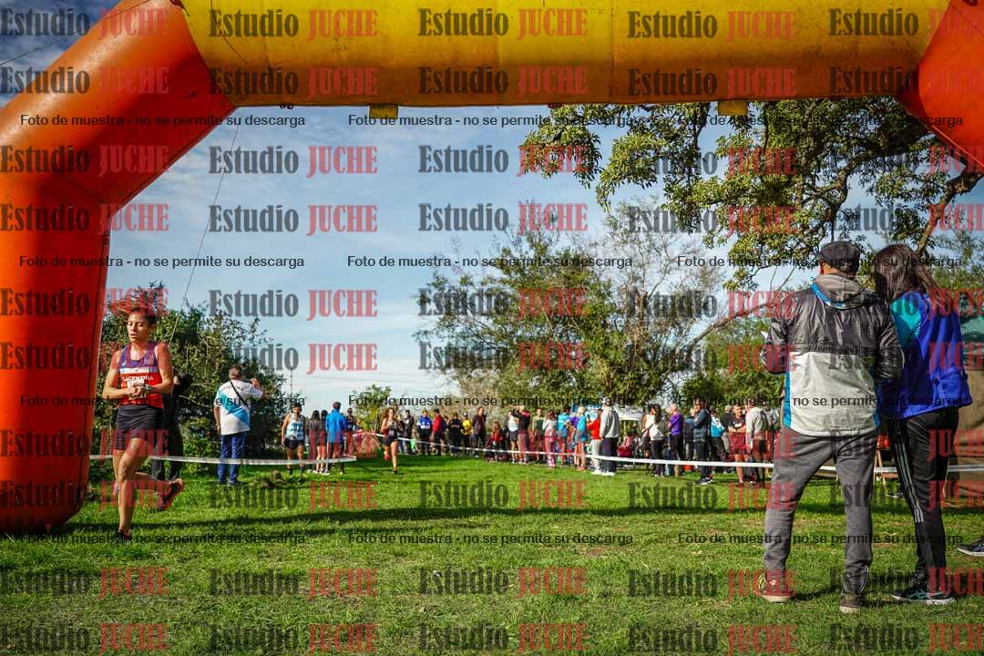 Fotos de la llegada del cross de 6000 m