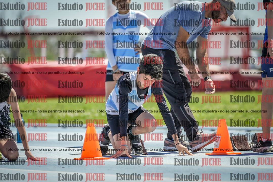 Fotos de los 60 m con vallas de varones