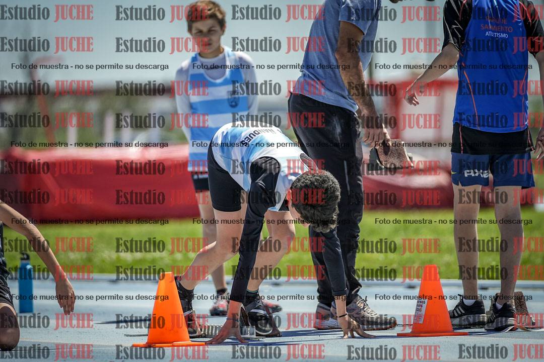 Fotos de los 60 m con vallas de varones