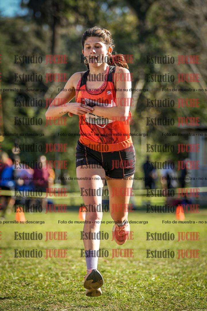 Fotos de la llegada del cross de 6000 m