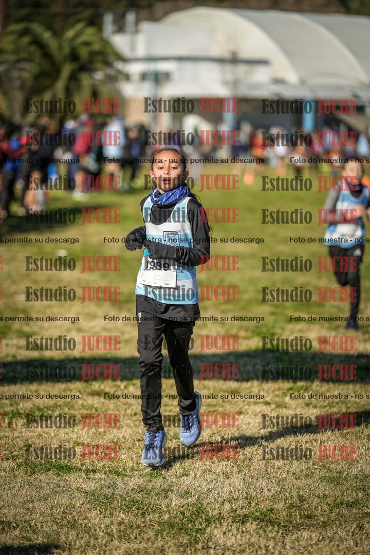 Fotos de las llegadas