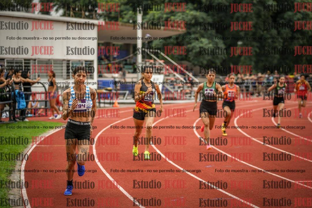 Fotos de los 800 m llanos de mujeres
