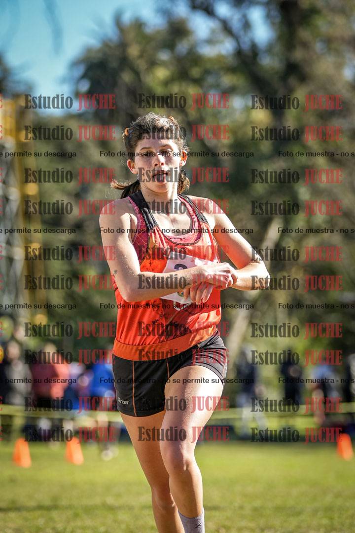 Fotos de la llegada del cross de 6000 m