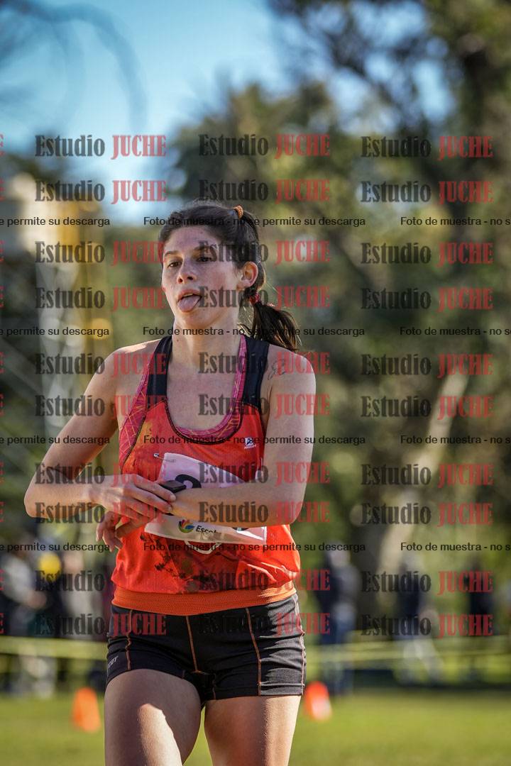Fotos de la llegada del cross de 6000 m