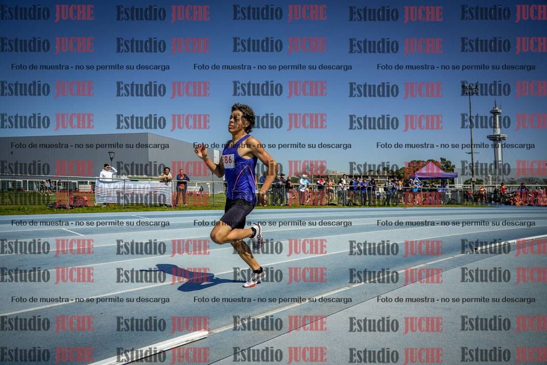Fotos de los 800 m llanos de varones