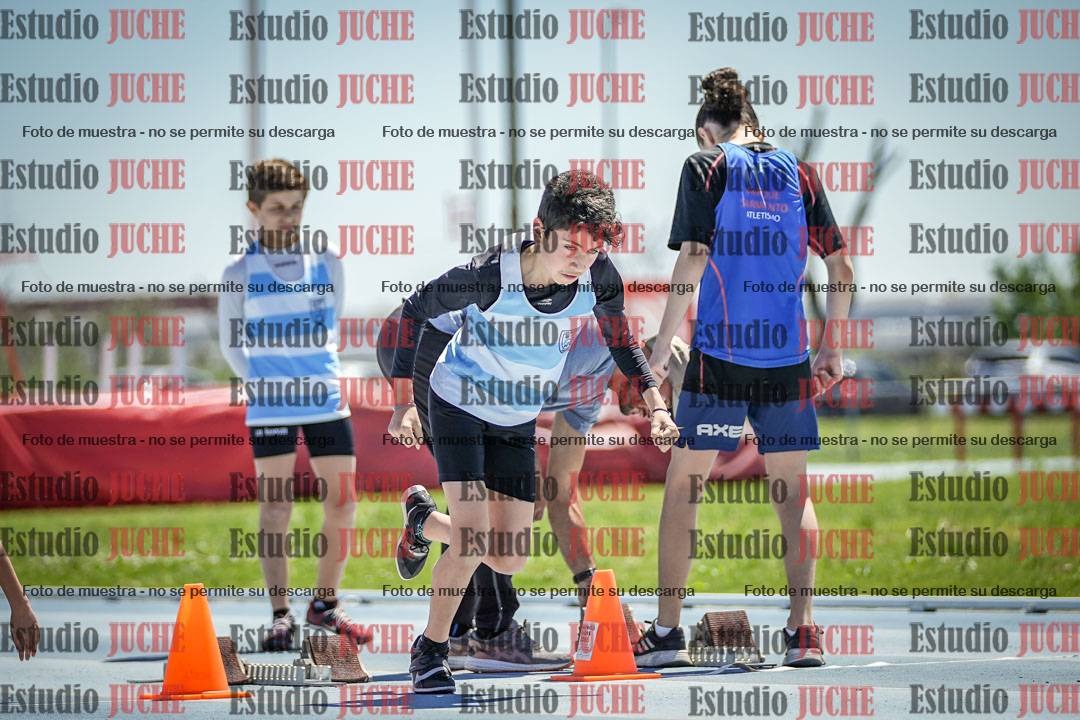 Fotos de los 60 m con vallas de varones