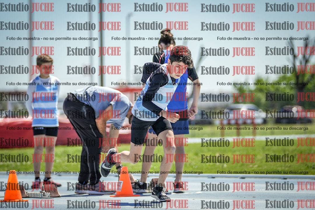 Fotos de los 60 m con vallas de varones