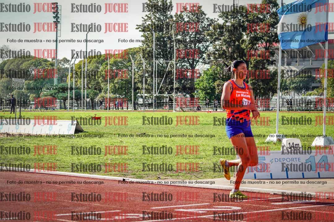 Fotos de los 800 m llanos de mujeres