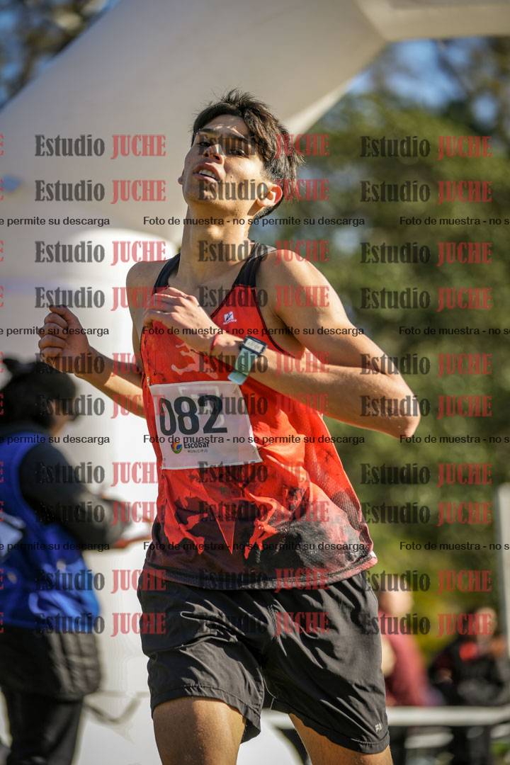 Fotos de la llegada del cross de 3000 m