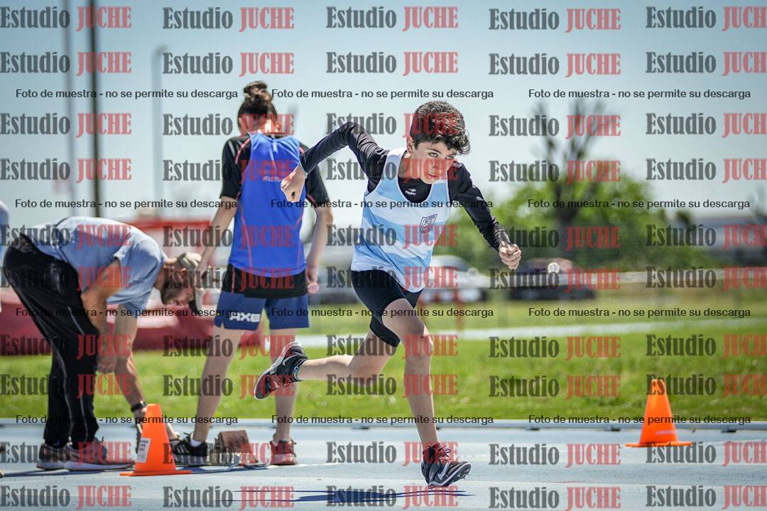 Fotos de los 60 m con vallas de varones