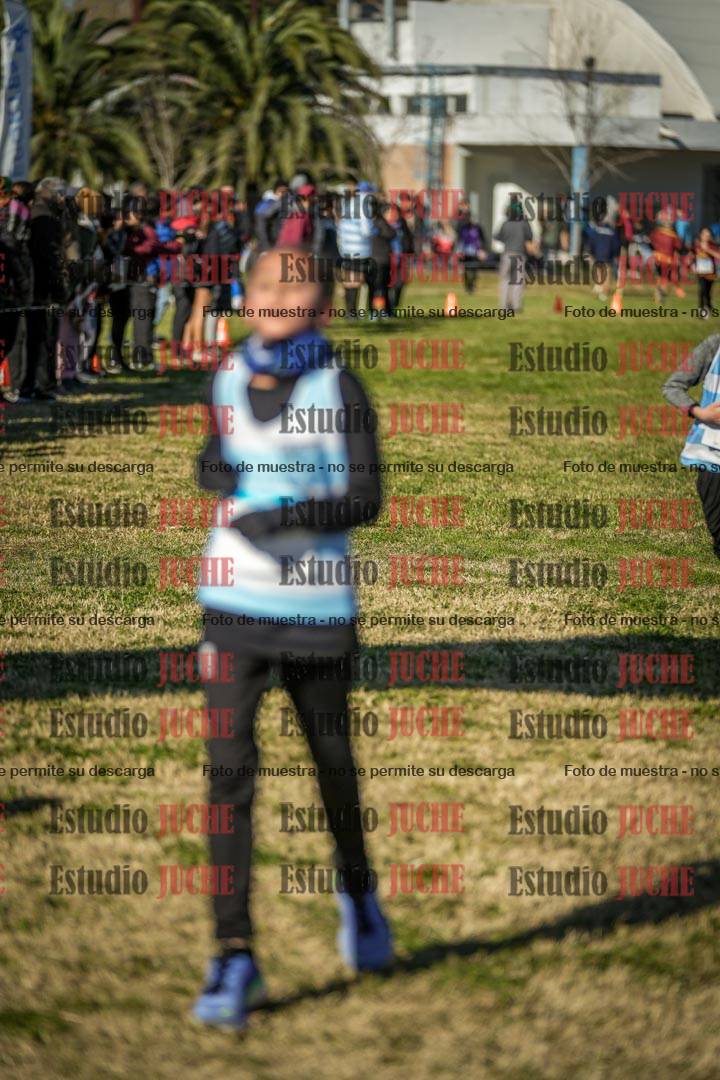 Fotos de las llegadas