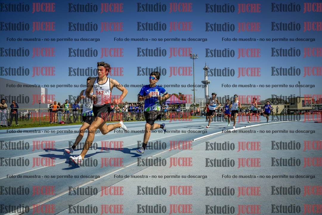 Fotos de los 800 m llanos de varones