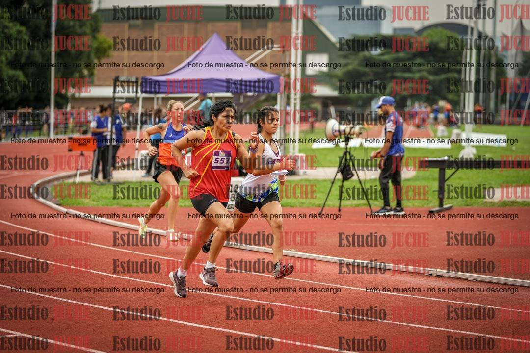 Fotos de los 800 m llanos de mujeres