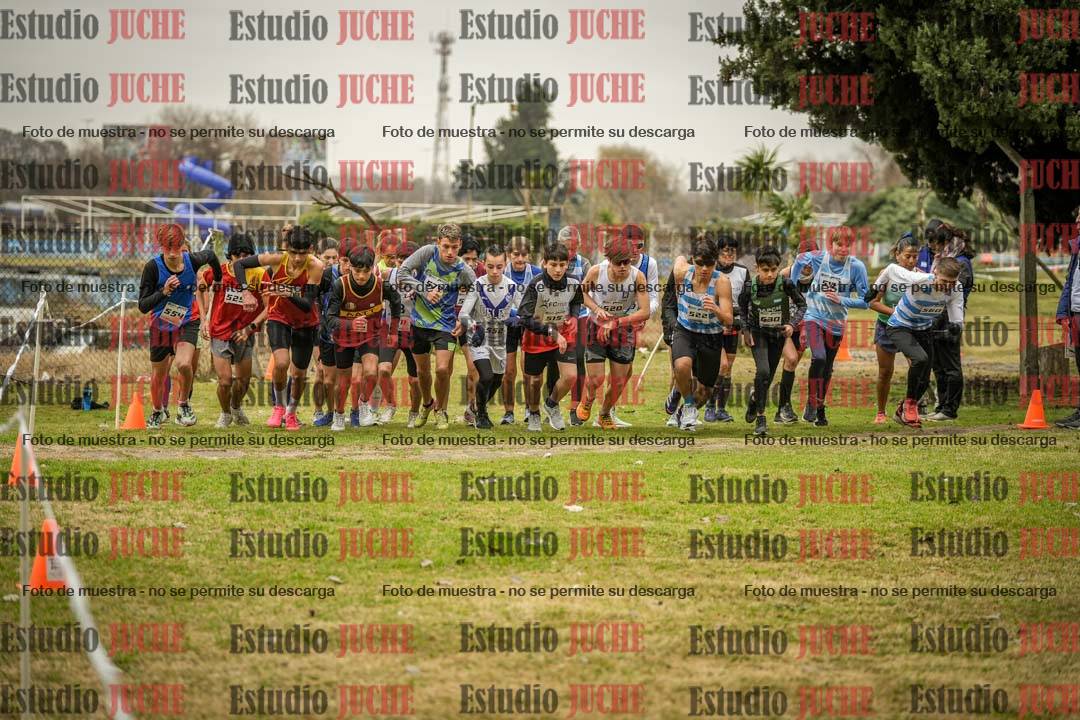 Fotos en de la largada