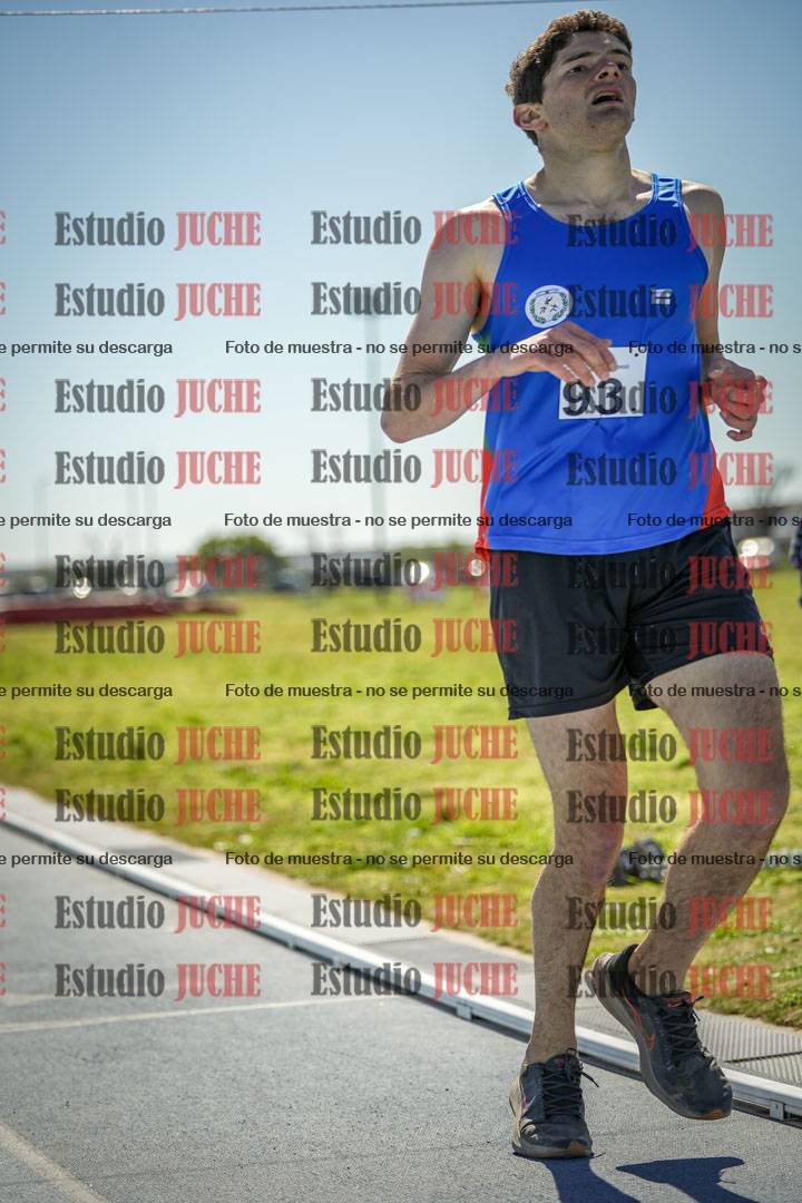 Fotos de los 800 m llanos de varones