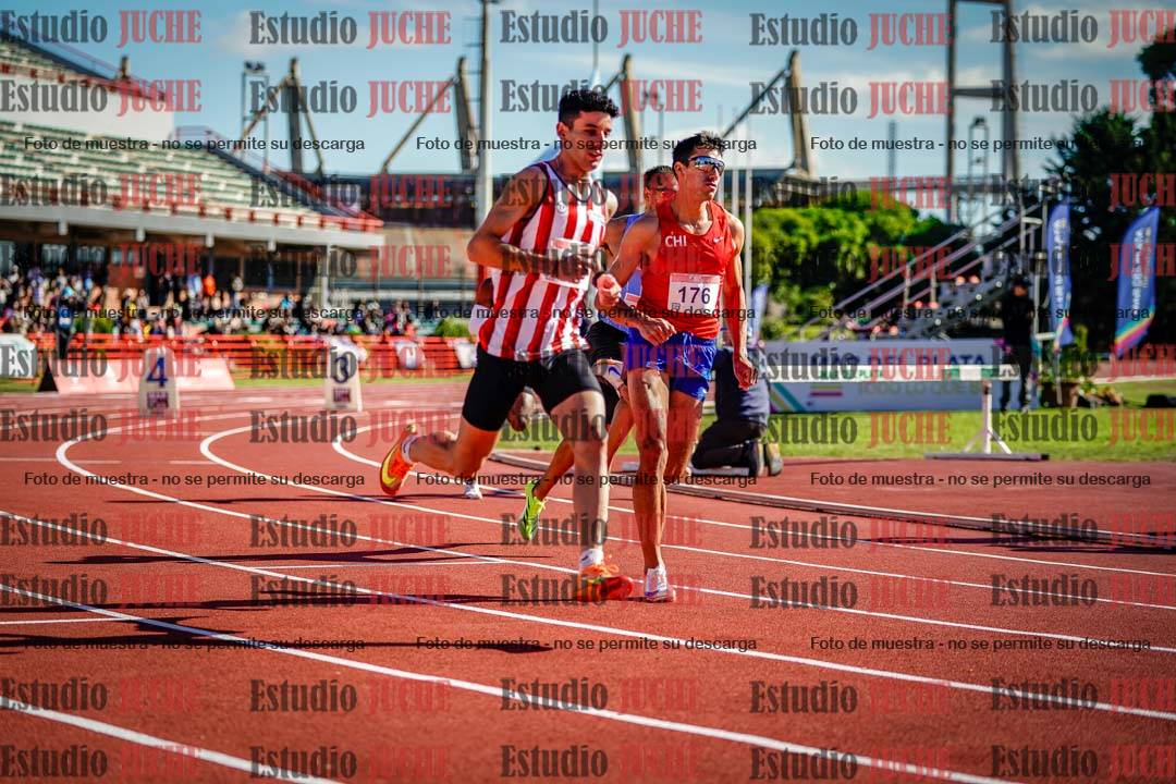 Fotos de los 800 m llanos de varones