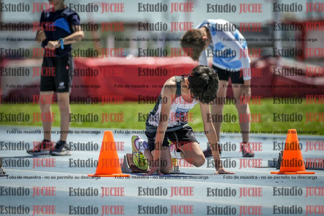 Fotos de los 60 m con vallas de varones