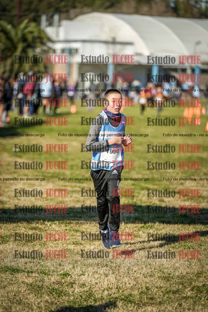 Fotos de las llegadas
