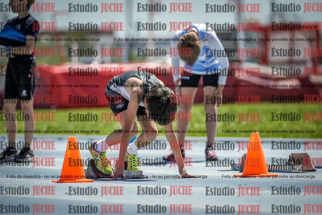 Fotos de los 60 m con vallas de varones
