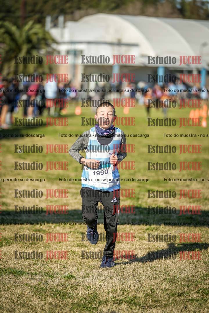 Fotos de las llegadas