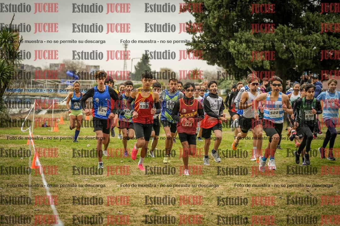 Fotos en de la largada