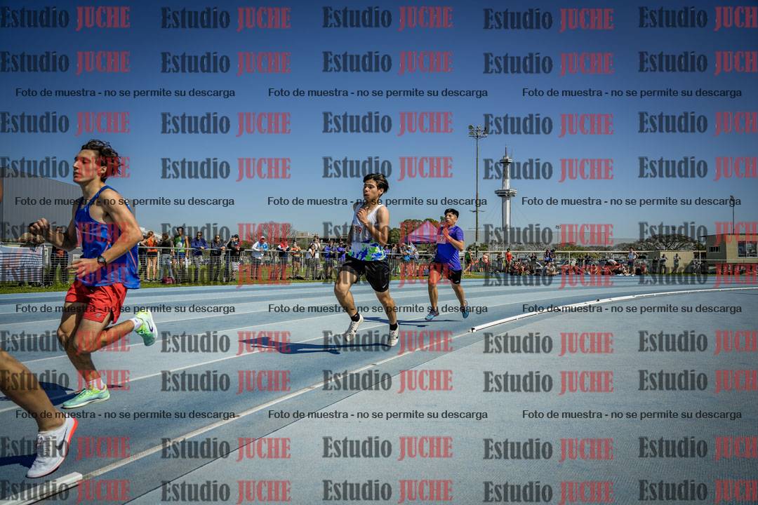 Fotos de los 800 m llanos de varones